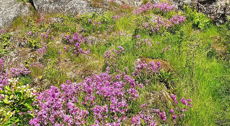 Holiday home in Björholmen
