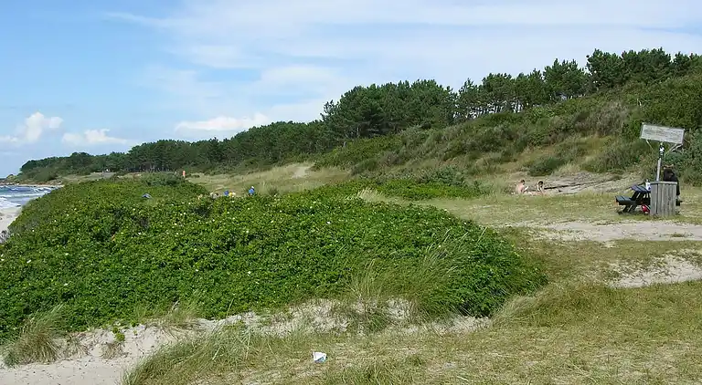 Holiday home in Hasle