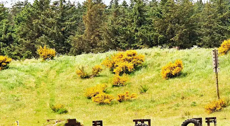 Holiday home in Brovst