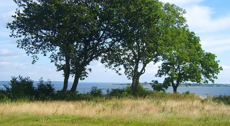 Holiday home in Aabenraa