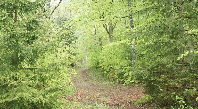 Casa de vacaciones en Falkenberg N