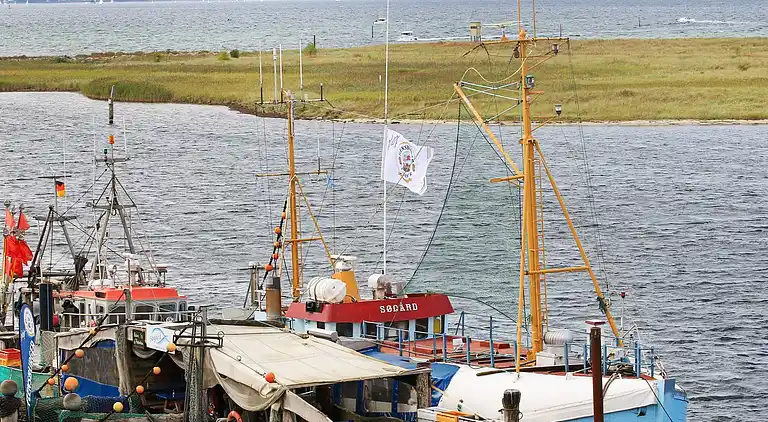 Feriebolig i Wendtorf