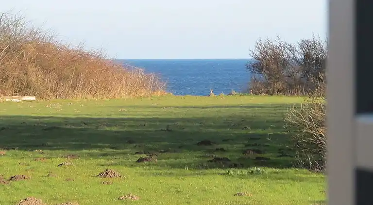 Holiday home in Idestrup