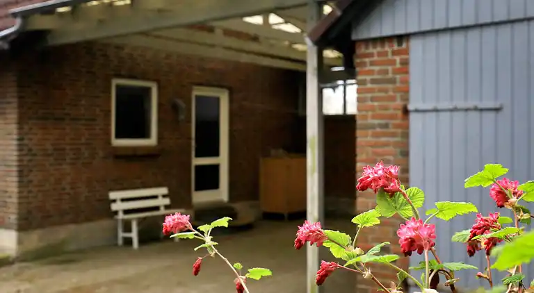 Semesterbostad i Øster Assels