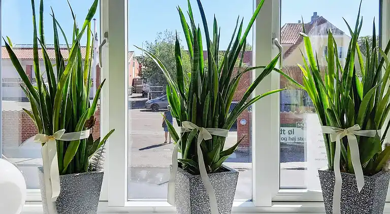 Holiday home in Skagen