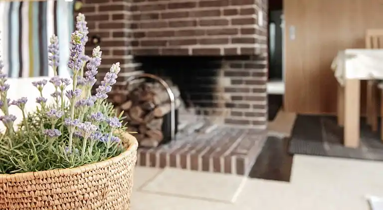 Holiday home in Jammerbugt