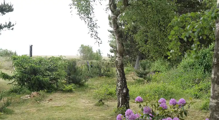 Vakantiehuis in Havneby