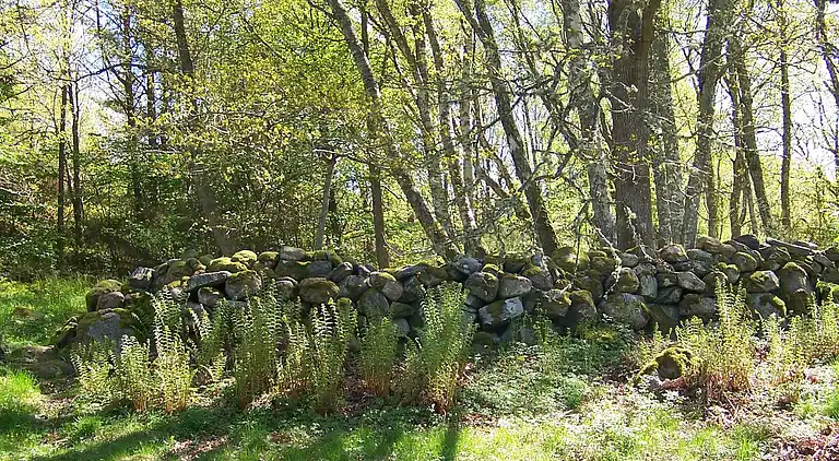 Casa vacanze in Orust