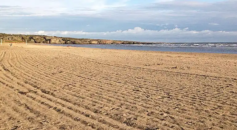 Holiday home in Falkenberg S