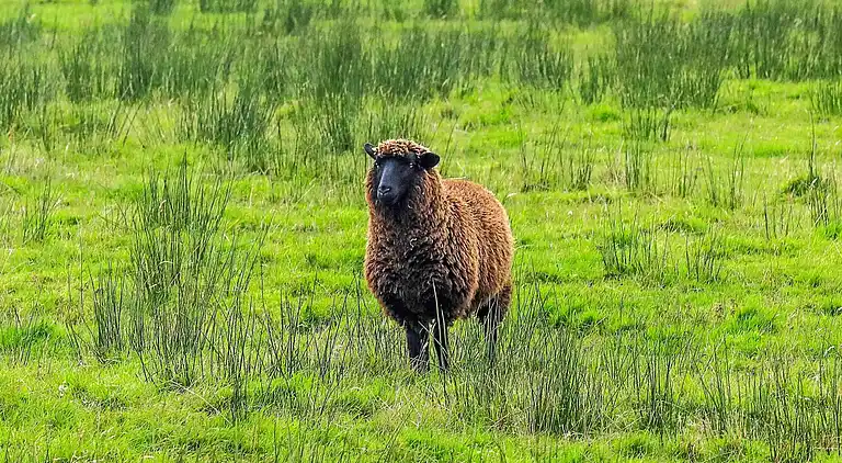 Casa vacanze in Vesløs