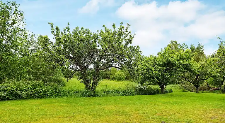 Sommerhus i Sillegården