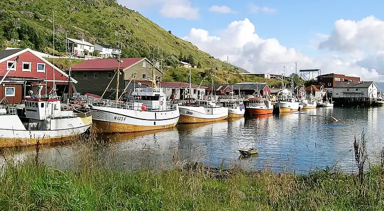 Feriebolig i Vestvågøy