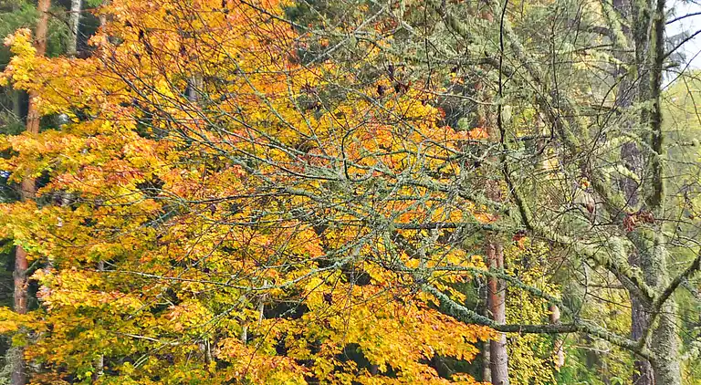 Maison de vacances en Arvika