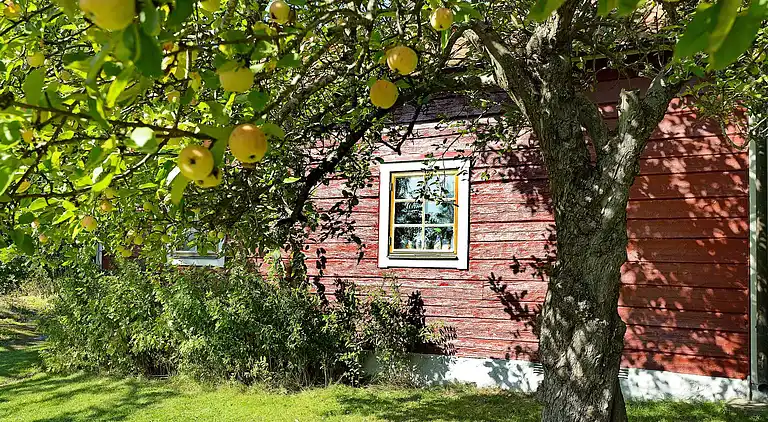 Sommerhus i Flen S