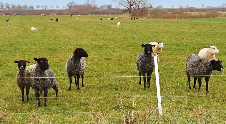 Holiday home in Laholm S