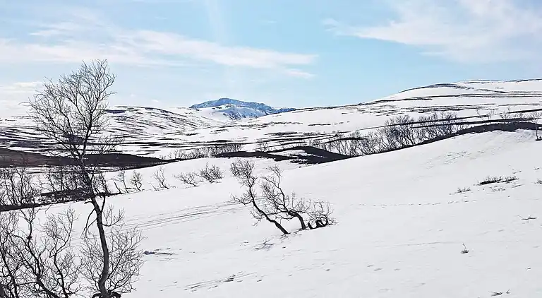 Semesterbostad i Nerskogen