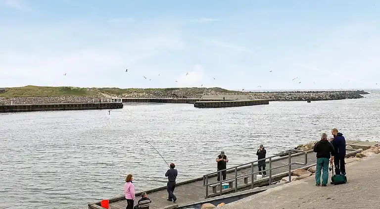 Holiday home in Ulfborg