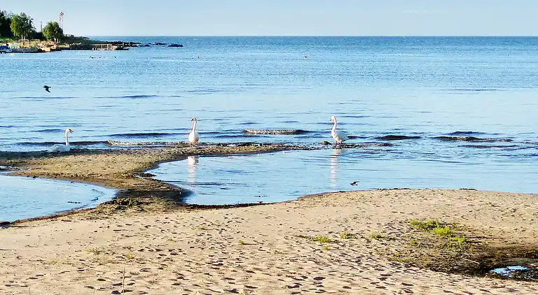 Sommerhus i Ronneby S