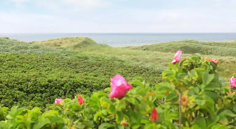 Holiday home in Grønhøj