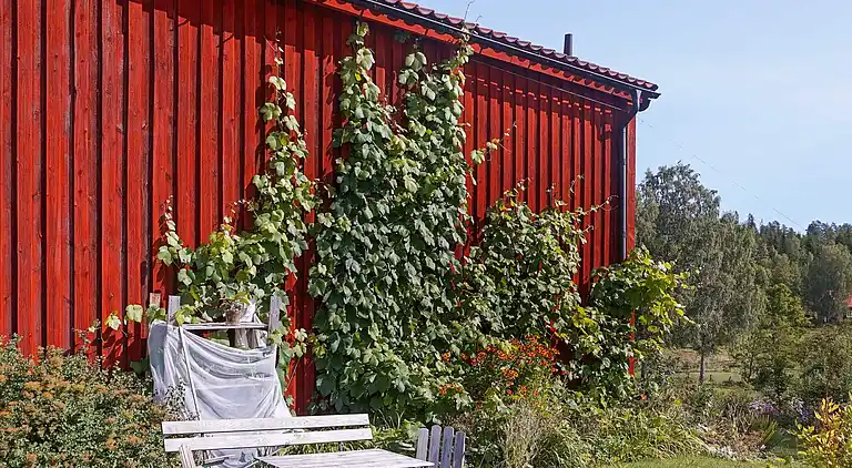 Sommerhus i Björsäter