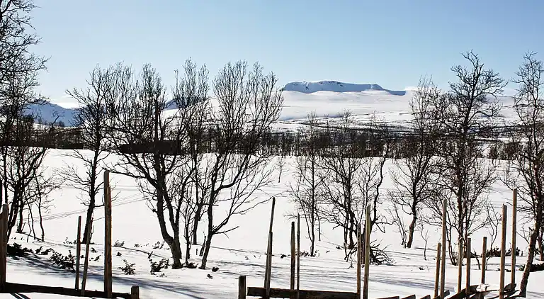 Semesterbostad i Nerskogen