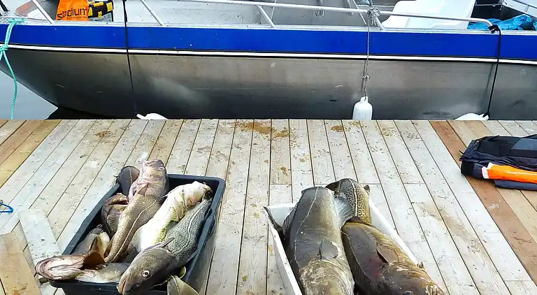 Holiday home in Dønna Municipality