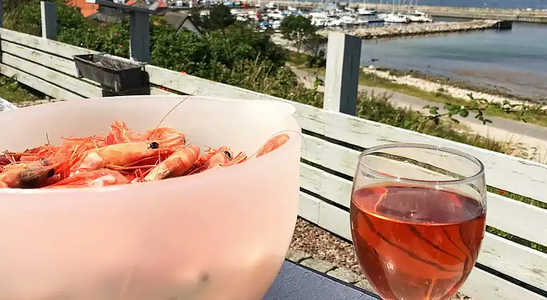 Sommerhus i Sjællands Odde
