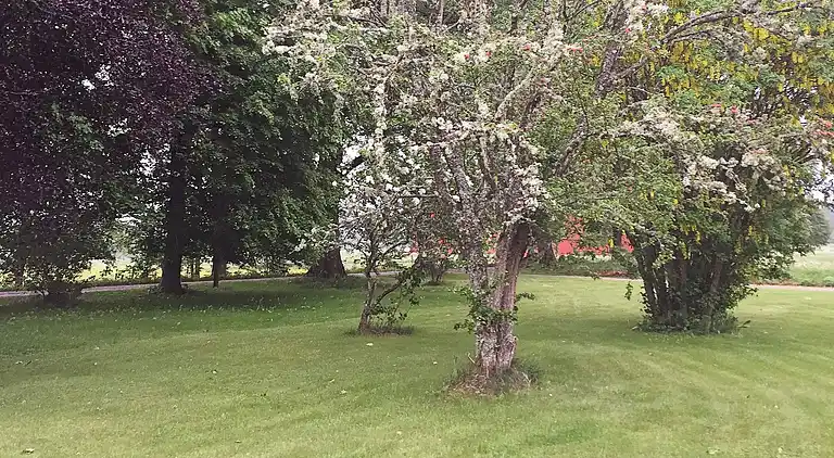 Casa vacanze in Ödeshög Ö