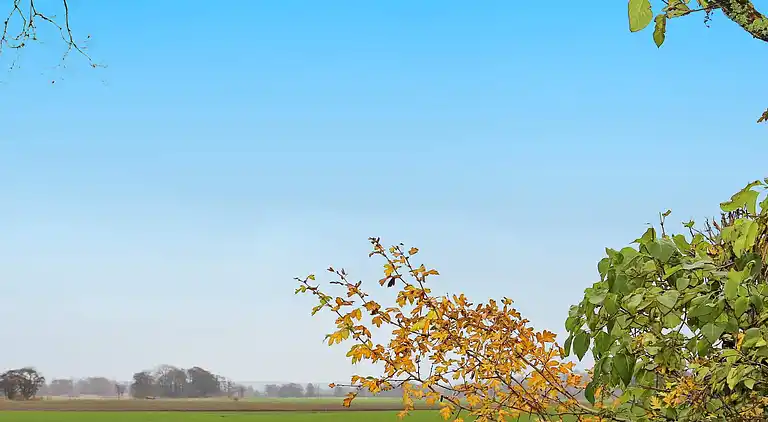 Holiday home in Laholm S