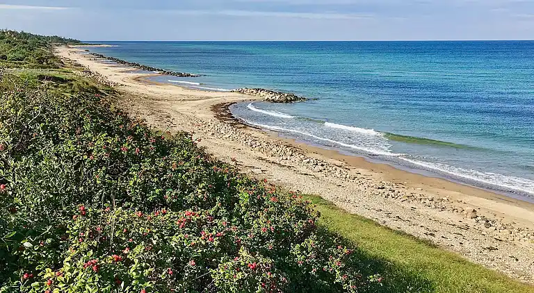 Sommerhus i Tinkerup Grundejerforening