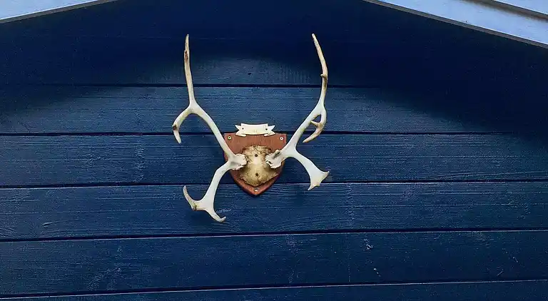 Sommerhus i Tinkerup Grundejerforening