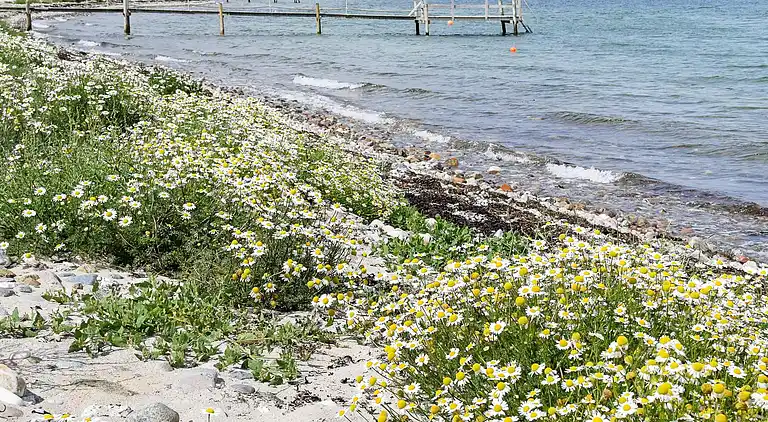 Sommerhus i Tranekær