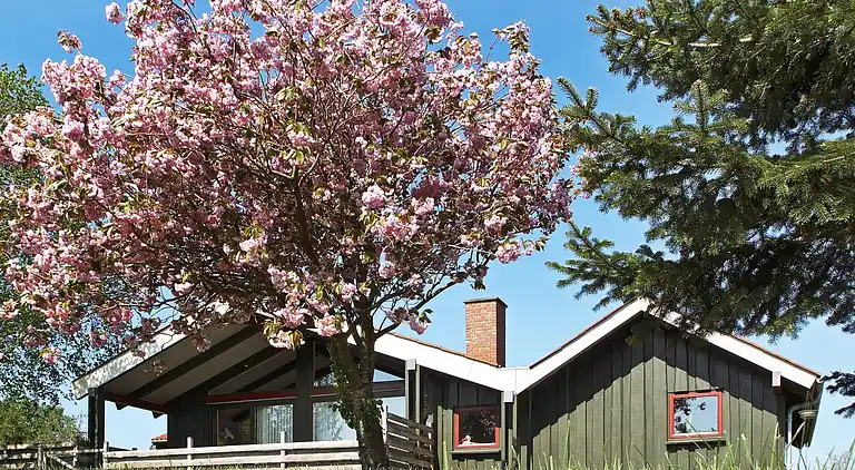 Casa vacanze in Skjern