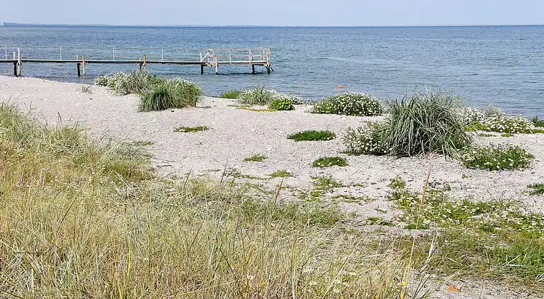 Sommerhus i Tranekær