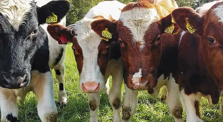 Semesterbostad vid Sørstranda