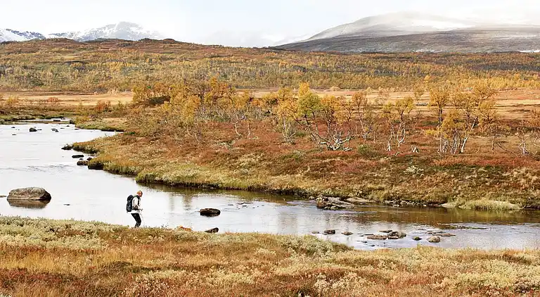 Semesterbostad i Nerskogen