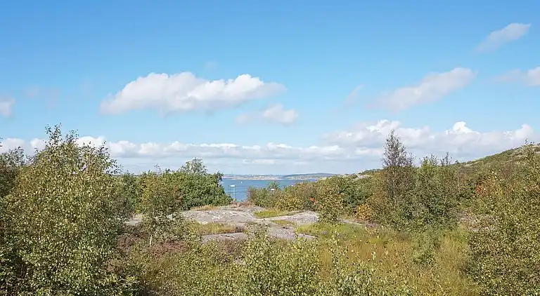 Holiday home in Gothenburg Municipality