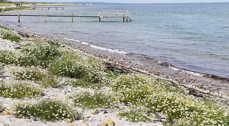 Sommerhus i Tranekær