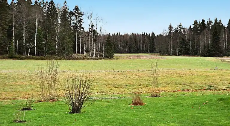 Holiday home in Mellerud S