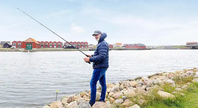 Holiday home in Ulfborg