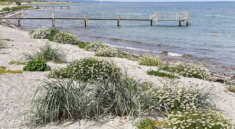 Sommerhus i Tranekær