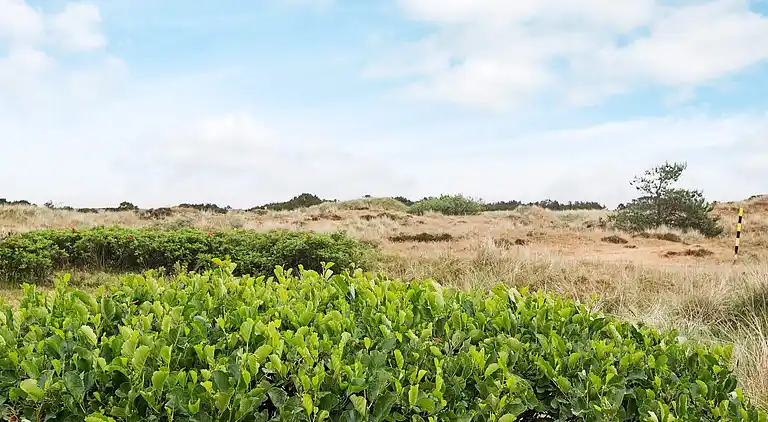 Vakantiehuis in Blåvand