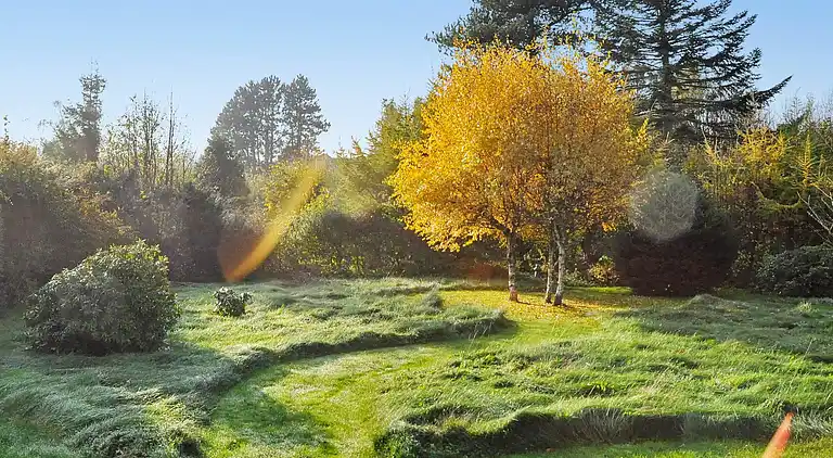 Sommerhus i Tinkerup Grundejerforening