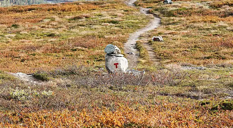 Semesterbostad i Nerskogen