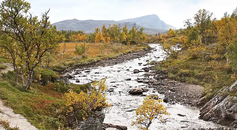 Semesterbostad i Nerskogen