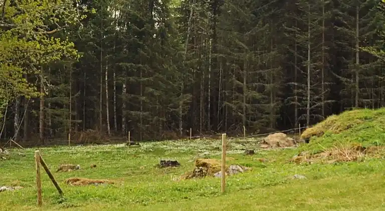 Semesterbostad i Söpplanda