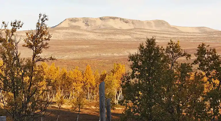 Semesterbostad i Nerskogen