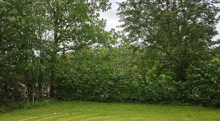 Sommerhus i Jönköping N