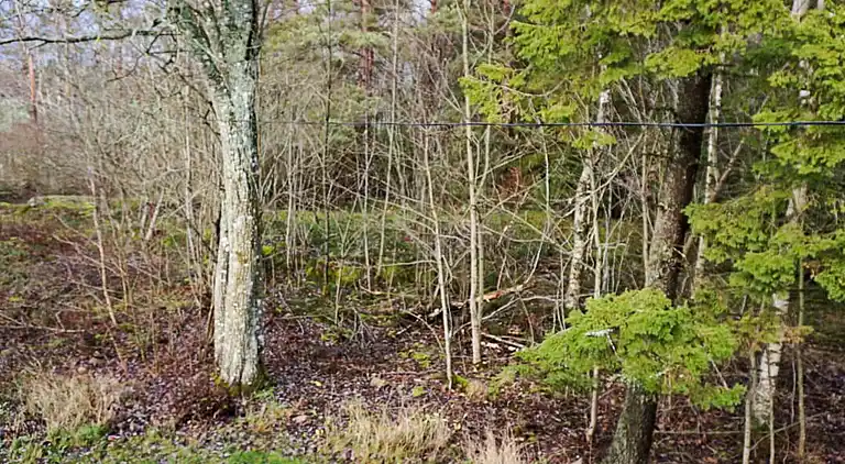 Holiday home in Mellerud S