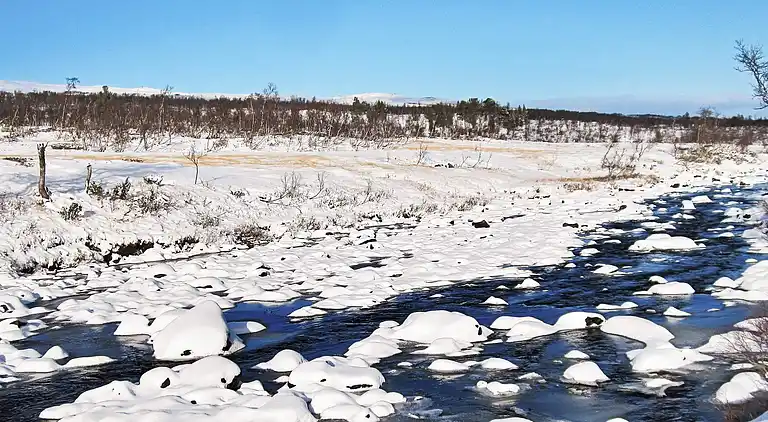 Semesterbostad i Nerskogen